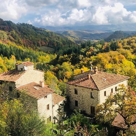 Bio Agriturismo Il Vigno Caprese Michelangelo Zewnętrze zdjęcie