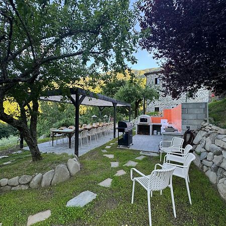 Bio Agriturismo Il Vigno Caprese Michelangelo Zewnętrze zdjęcie