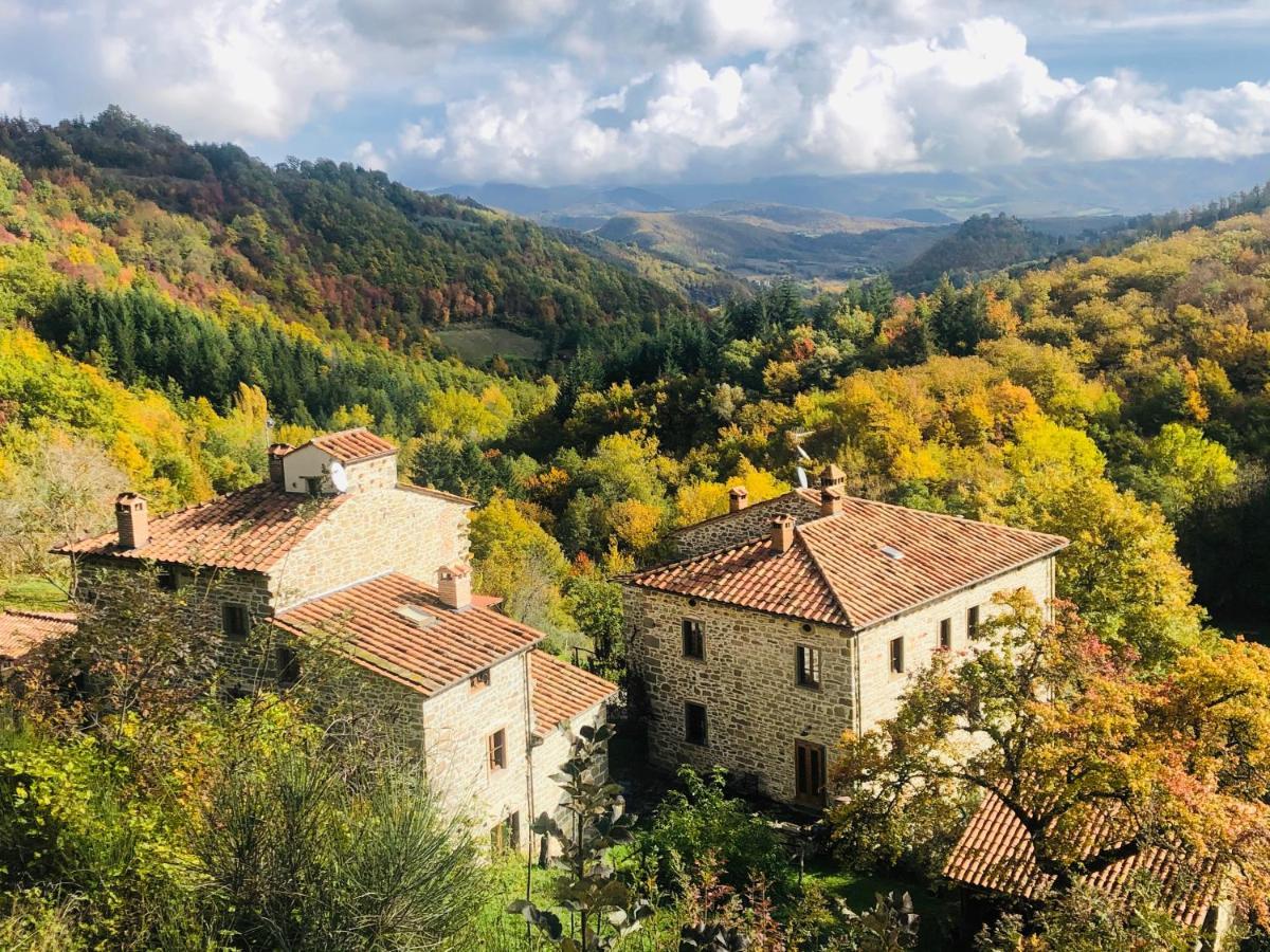 Bio Agriturismo Il Vigno Caprese Michelangelo Zewnętrze zdjęcie