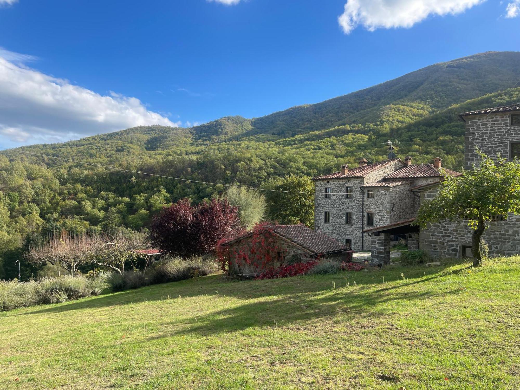 Bio Agriturismo Il Vigno Caprese Michelangelo Zewnętrze zdjęcie