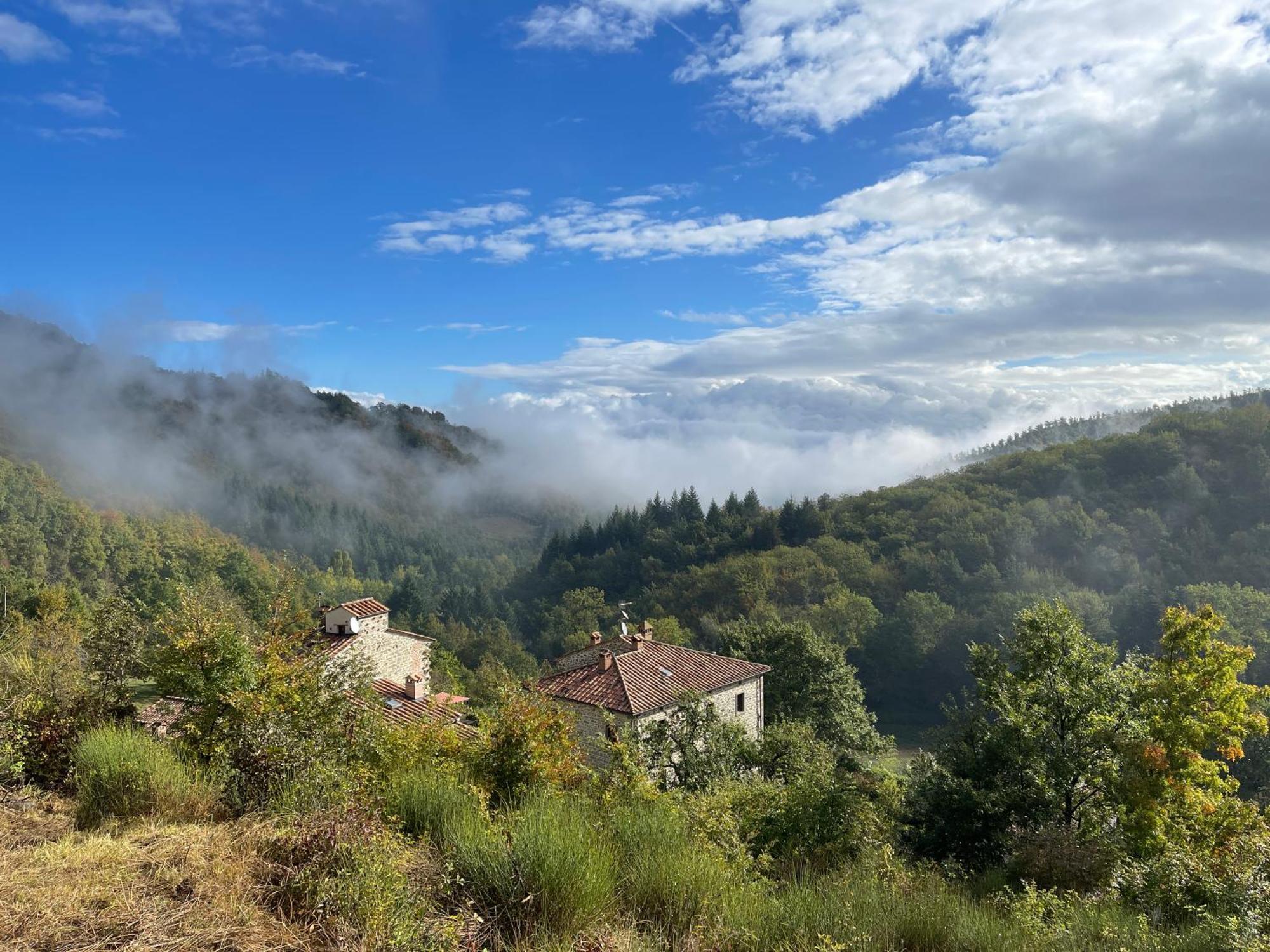Bio Agriturismo Il Vigno Caprese Michelangelo Zewnętrze zdjęcie