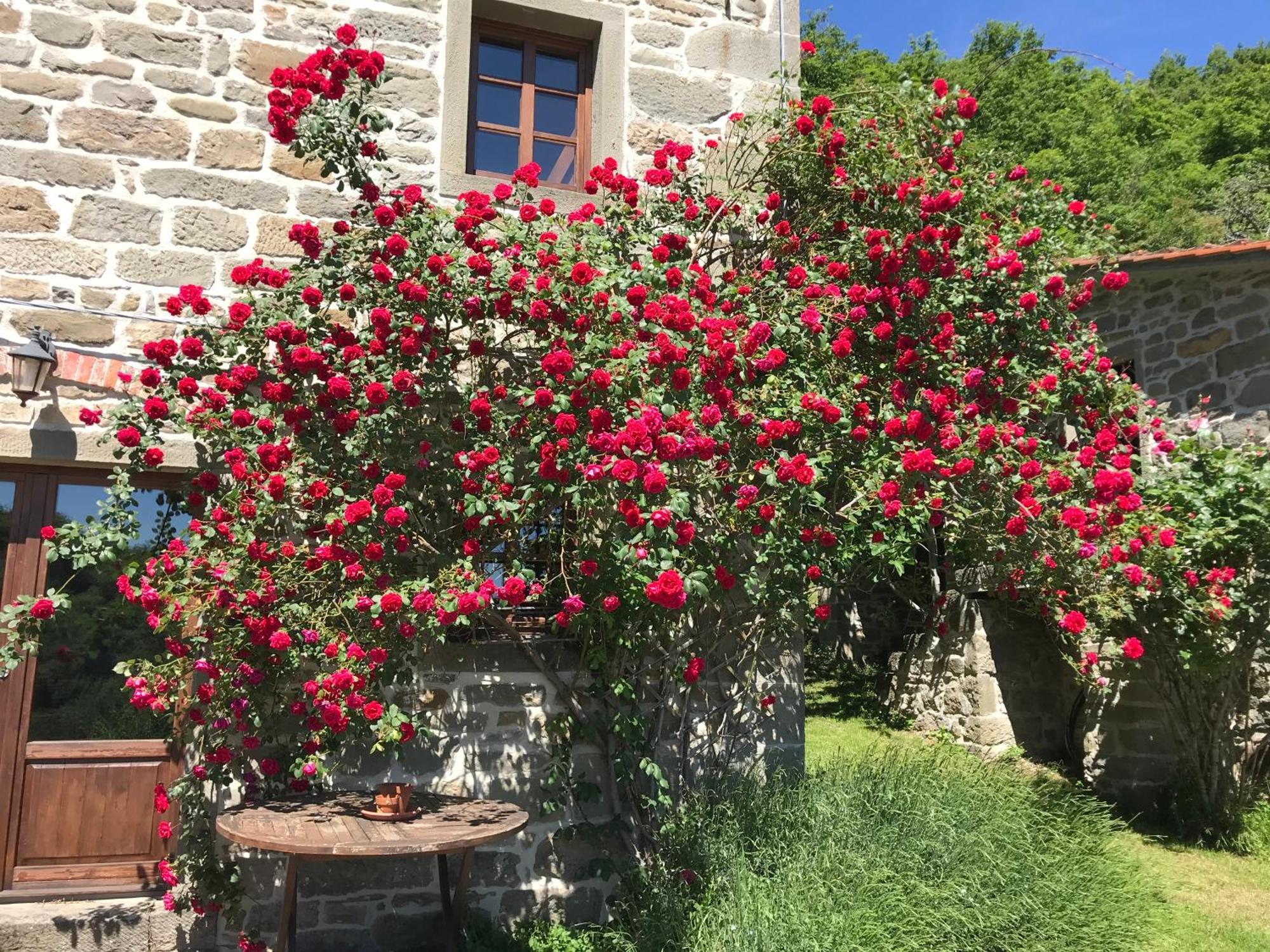 Bio Agriturismo Il Vigno Caprese Michelangelo Zewnętrze zdjęcie