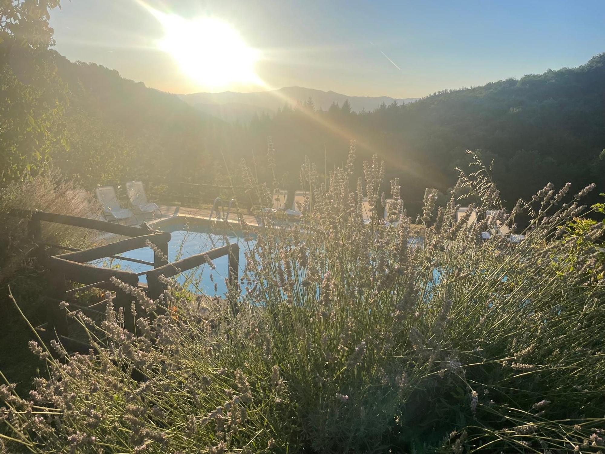 Bio Agriturismo Il Vigno Caprese Michelangelo Zewnętrze zdjęcie