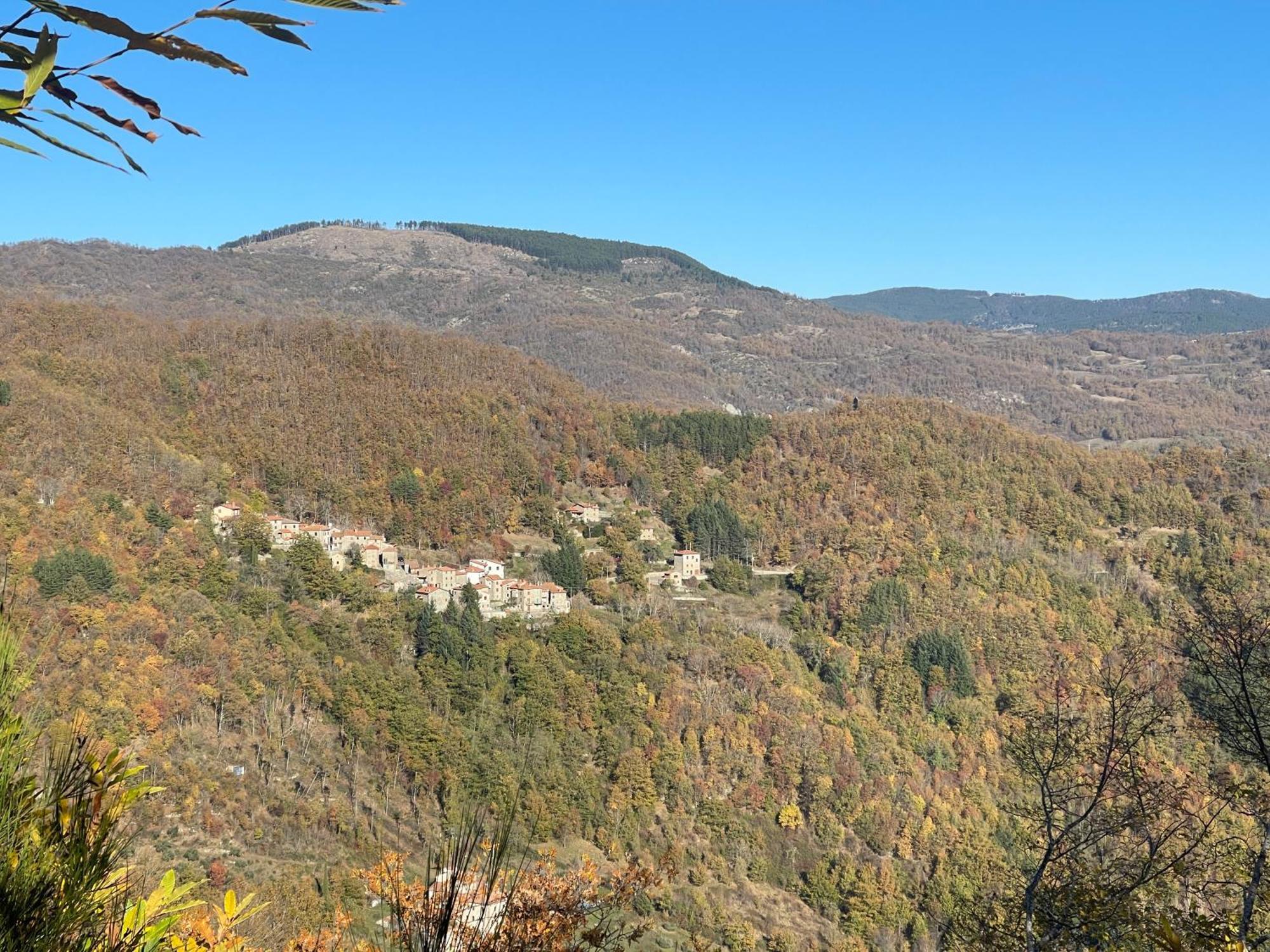 Bio Agriturismo Il Vigno Caprese Michelangelo Zewnętrze zdjęcie