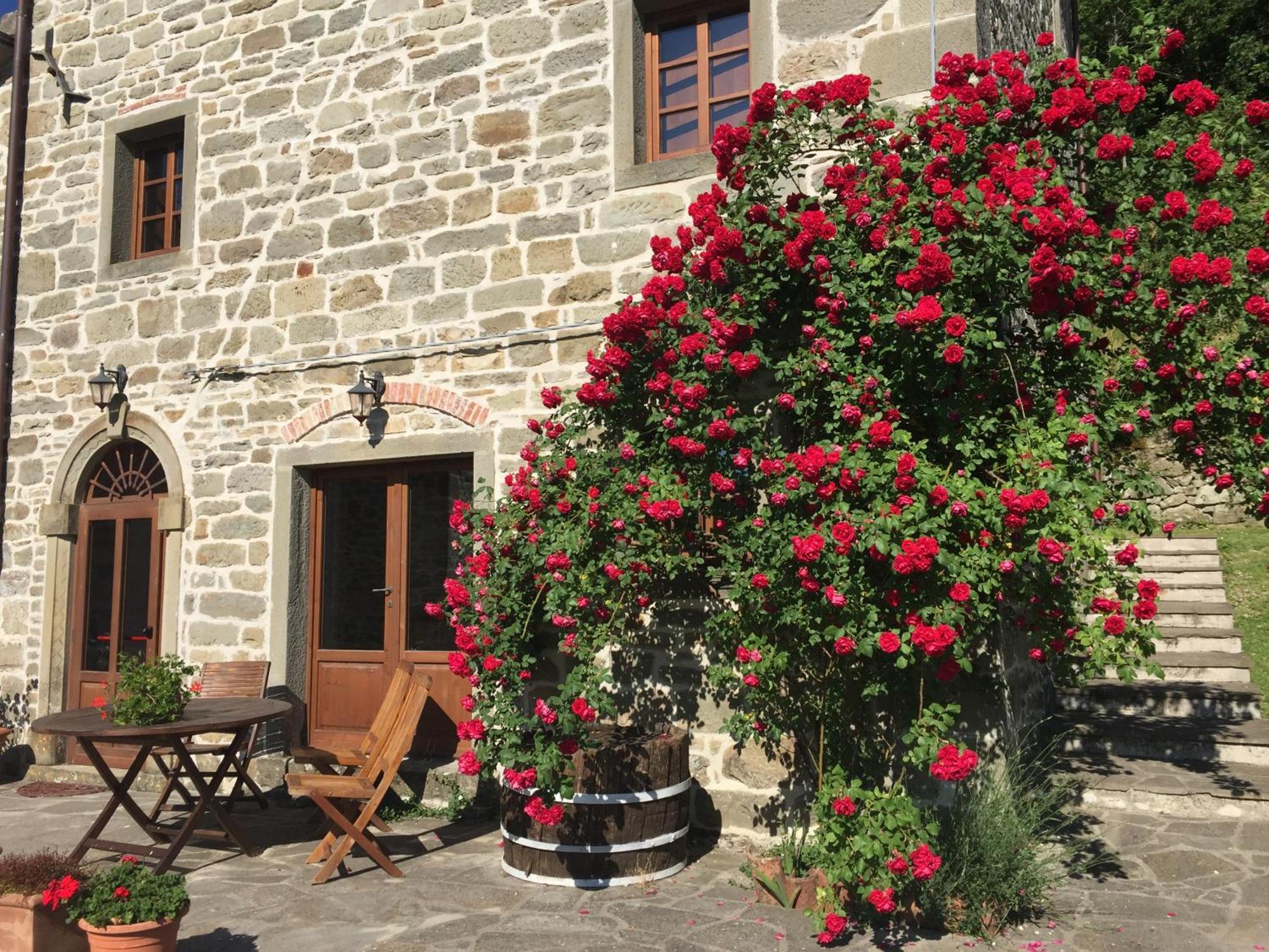 Bio Agriturismo Il Vigno Caprese Michelangelo Zewnętrze zdjęcie