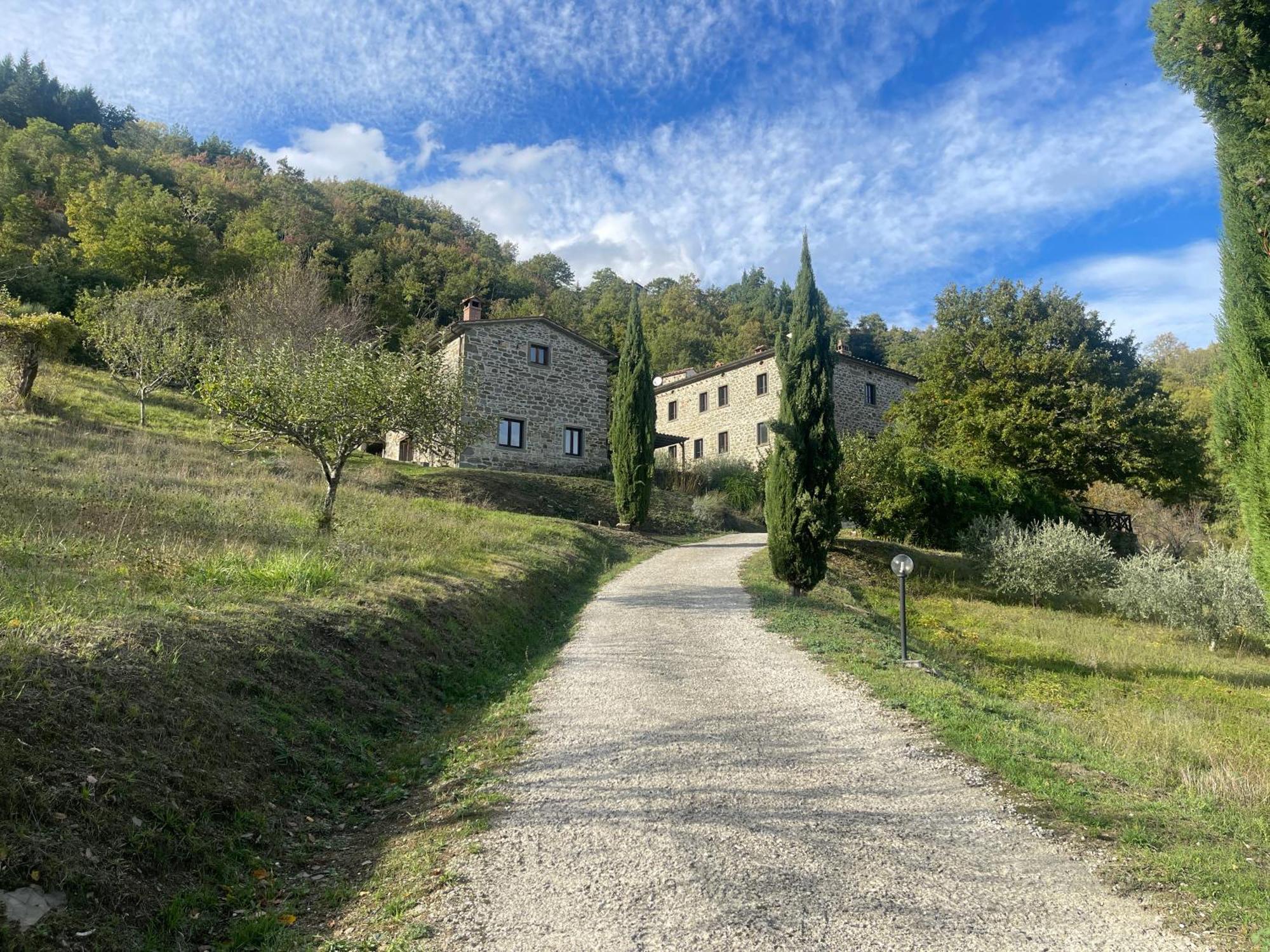 Bio Agriturismo Il Vigno Caprese Michelangelo Zewnętrze zdjęcie