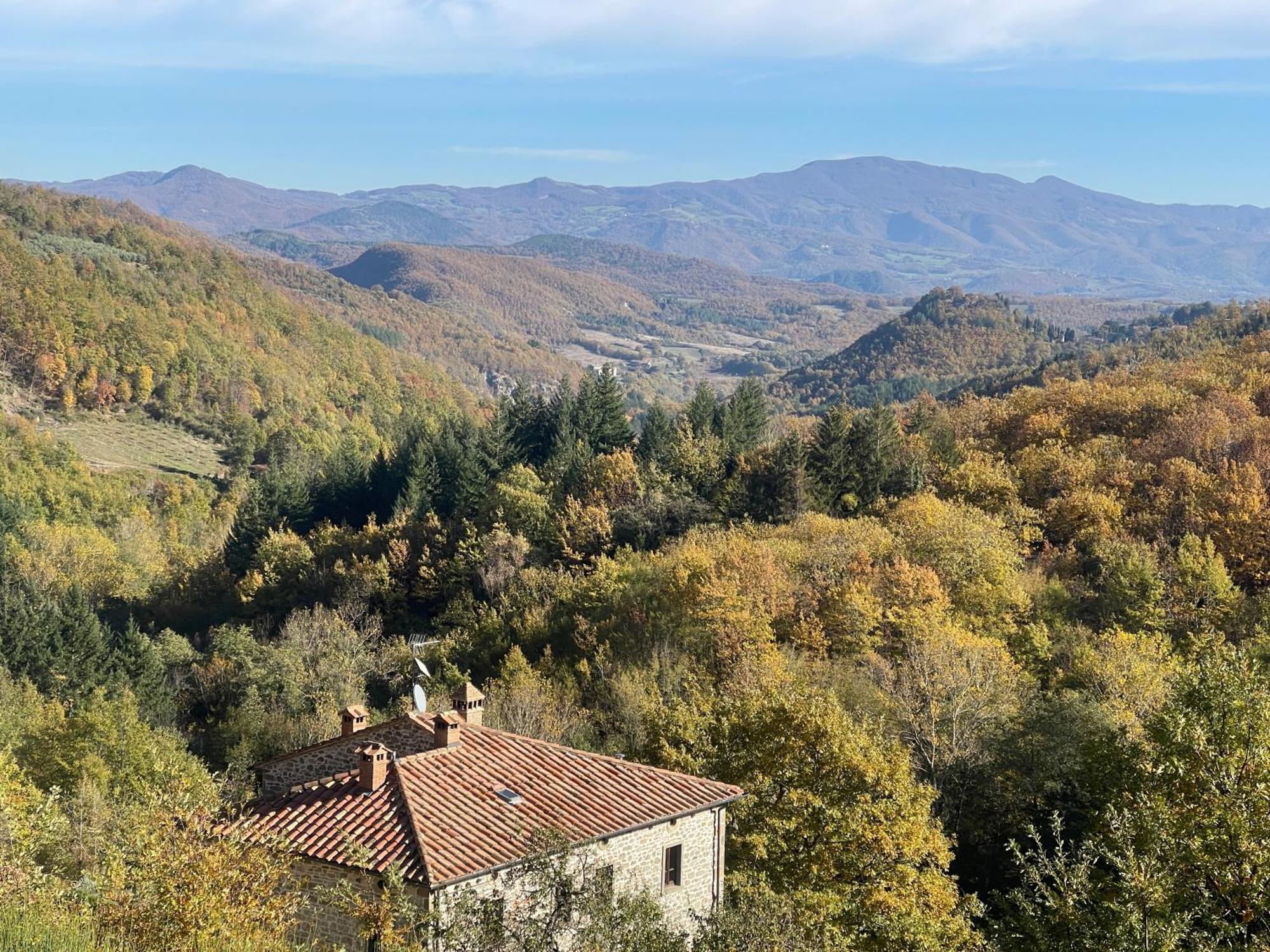 Bio Agriturismo Il Vigno Caprese Michelangelo Zewnętrze zdjęcie